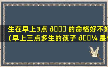 生在早上3点 🐝 的命格好不好（早上三点多生的孩子 🌼 是什么时辰）